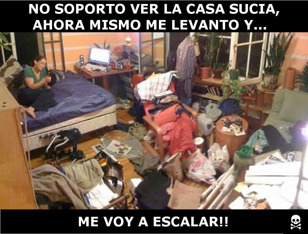 [Imagen: 10997724_1404414123201731_1275326781868754328_o.jpg]