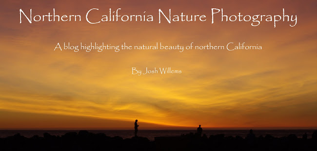 Northern California Nature Photography