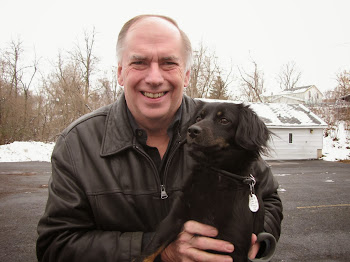 From Pound Outcast to First Dog, Jet Enjoys Life on Pearl Street