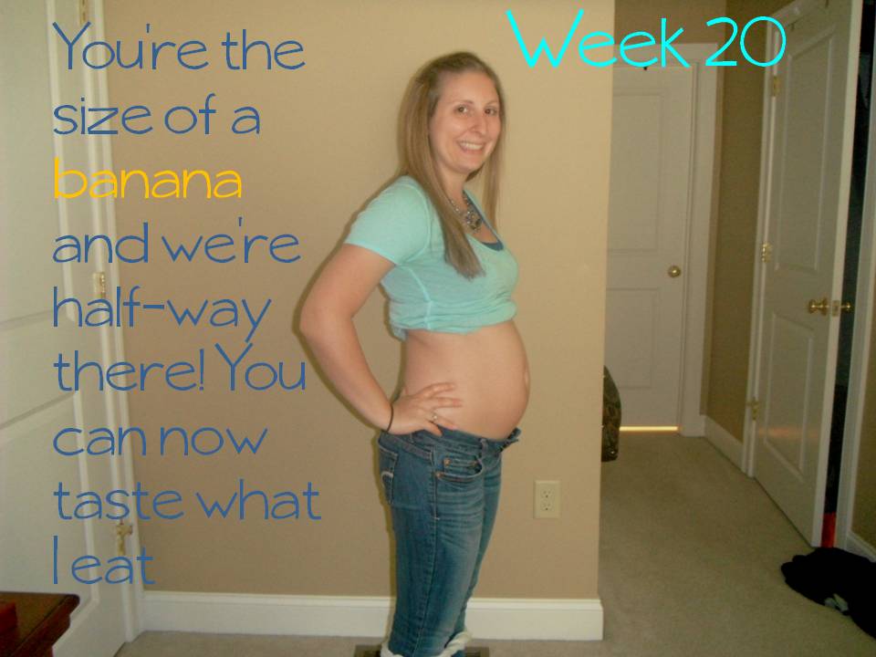 little baby davie 20 weeks may 10 16 2012 baby size at 20 weeks