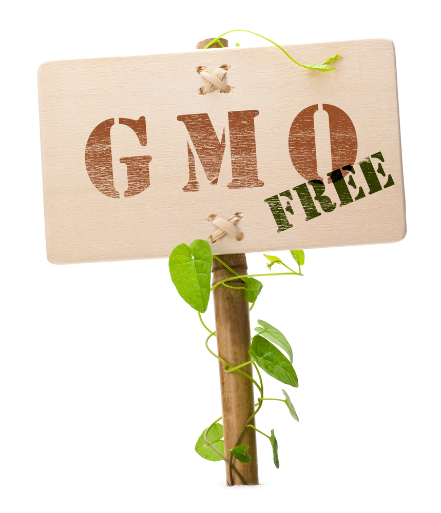 Anita's Health Blog GlutenFree but GMO free?