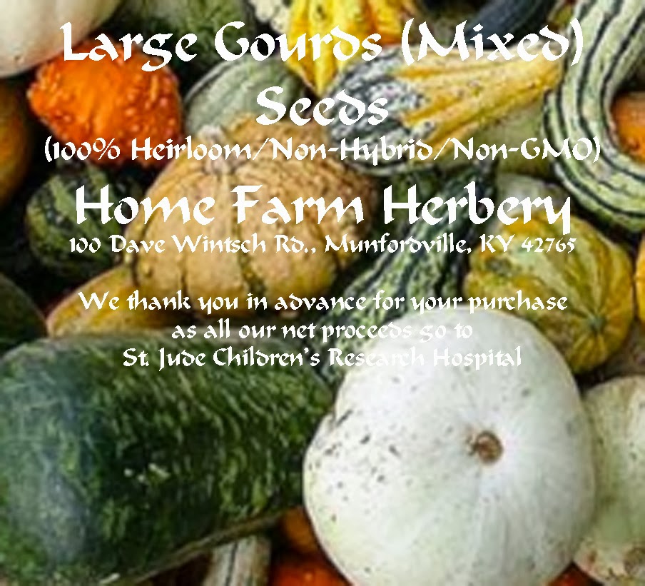 Large Gourds (Mixed) (100 Heirloom/NonHybrid/NonGMO) for sale in a