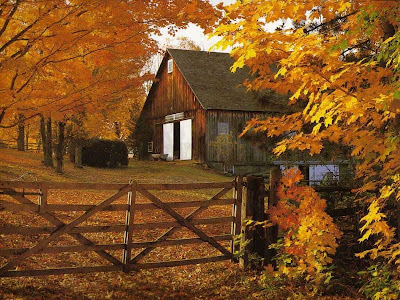 Thanksgiving Wallpaper 2