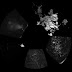 Philae raccoglie campioni della cometa, batterie a rischio