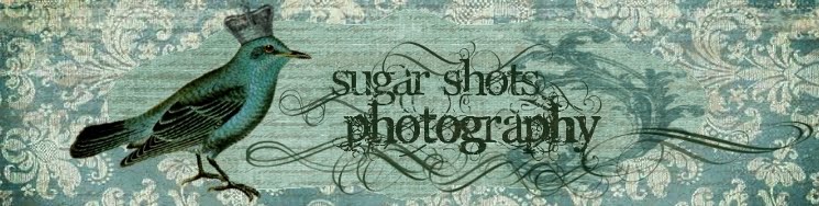Sugar Shots Photography