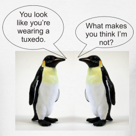 I What Youre Wearing Raiding The Archives home jokes about penguins I What Youre Wearing Raiding The Archives home jokes about penguins