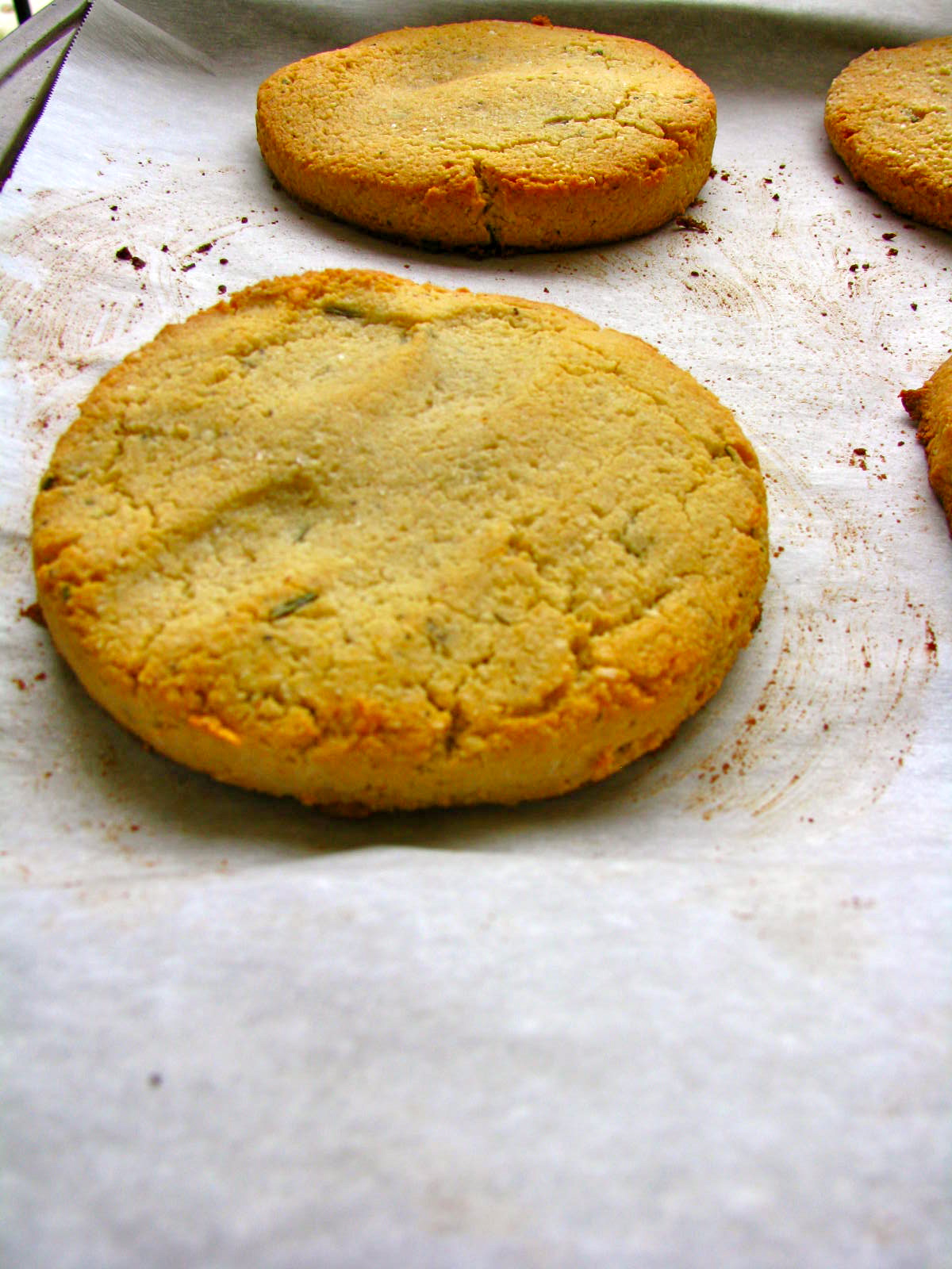 Limp biscuit meaning