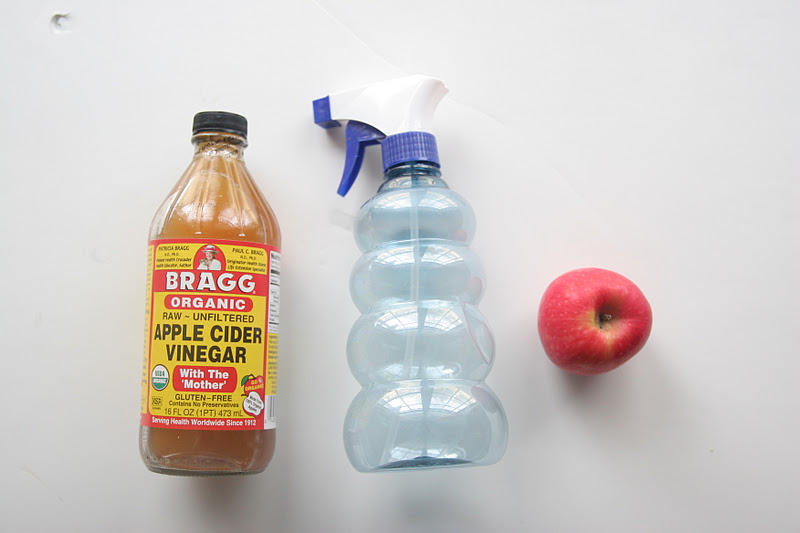 Frugal Living Day 2 Homemade Veggie Wash Homemade Ginger