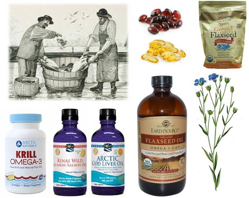 omega 3 fatty acids for dogs ottawa valley whisperer foods that help your cat naturally repel eliminate omega 3 fatty acids for dogs ottawa valley whisperer foods that help your cat naturally repel eliminate