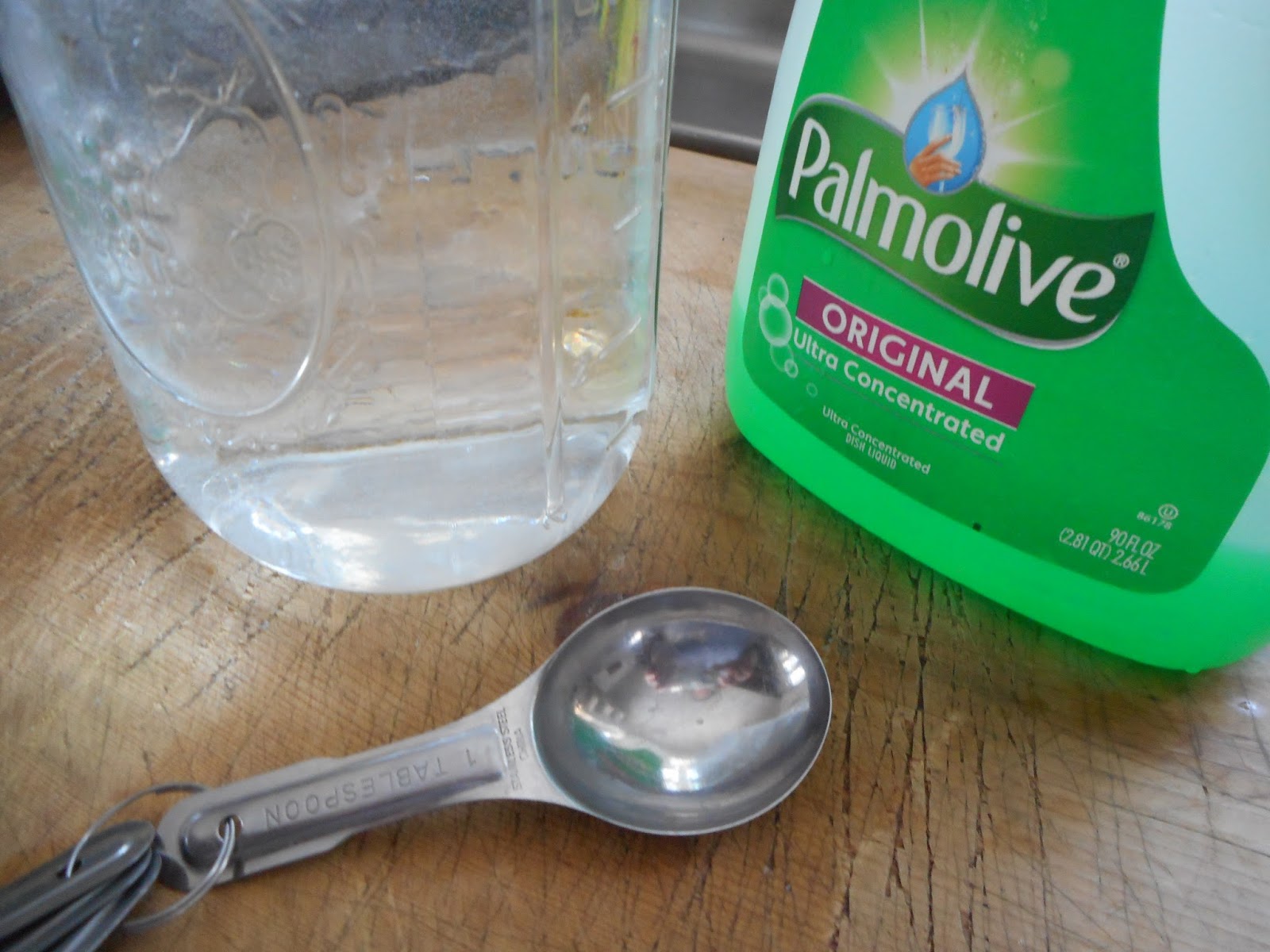 Jen & the Bean stalk Evicting Spider Mites