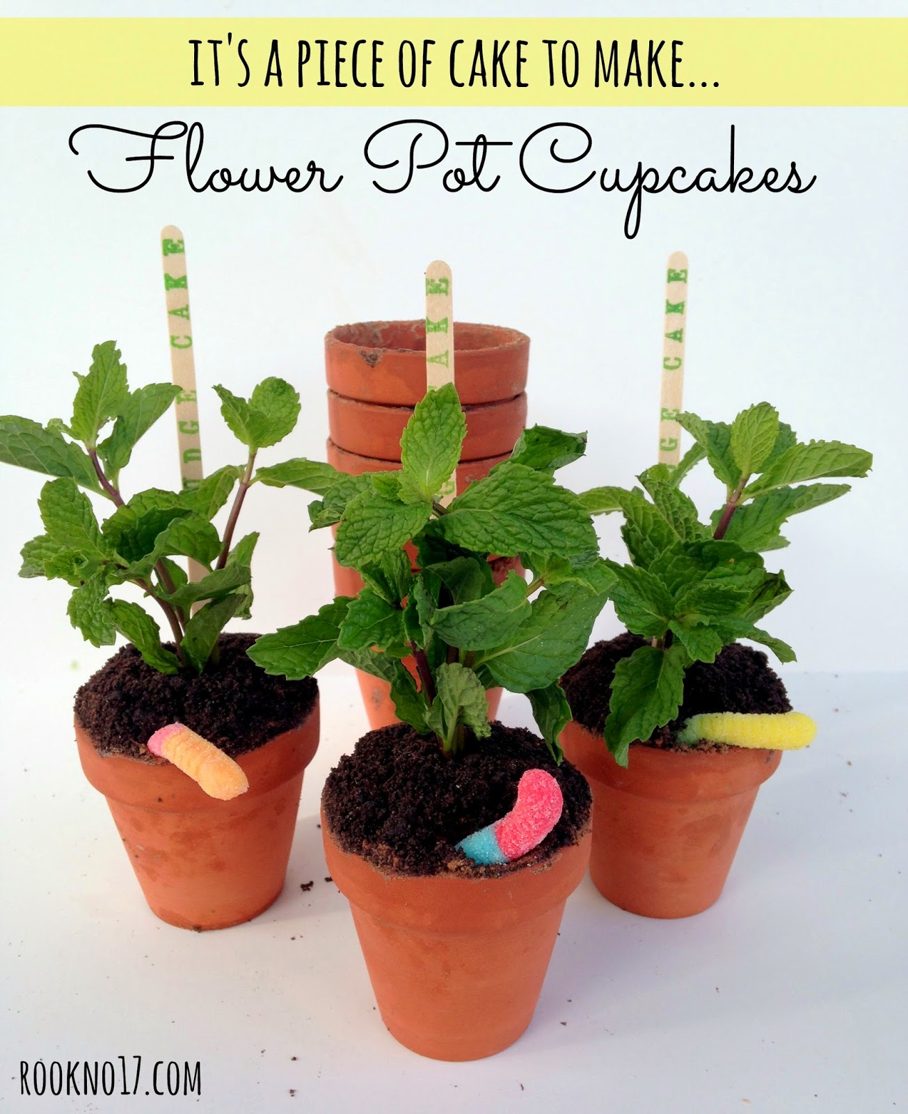 BakeIns Cupcakes Baked in Terra Cotta Flower Pots