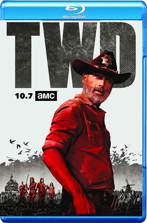 The Walking Dead Season 9 Episode 6 HDTV 720p