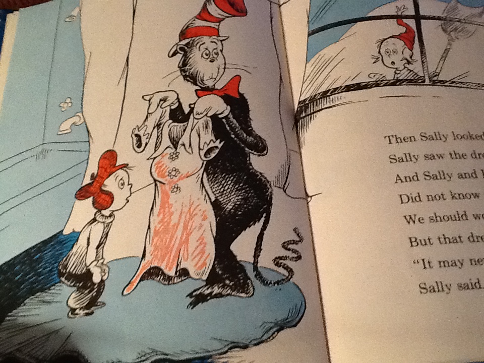 Garrett's Blog The Cat in the Hat Comes Back
