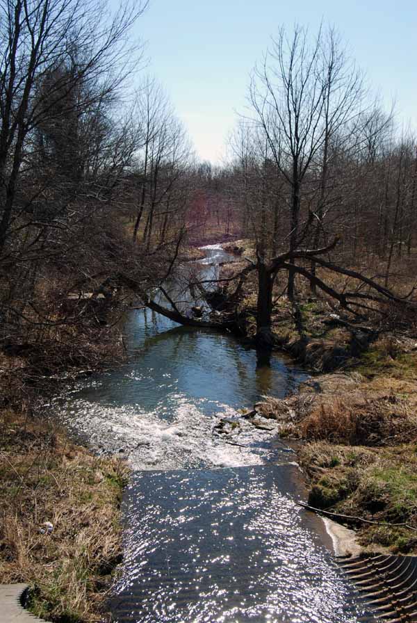 Lew's Other Pics Our World Carroll Creek