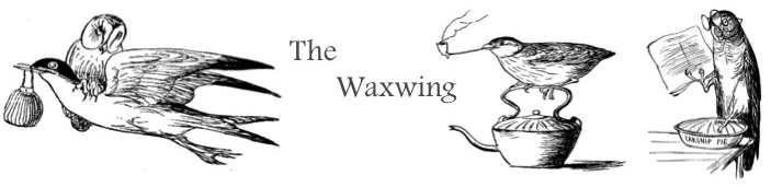 The waxwing