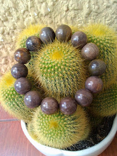 Vòng tay gỗ hóa thạch - 7