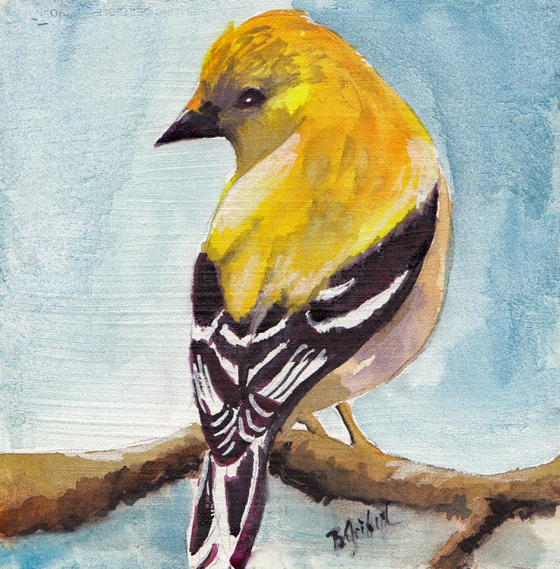 Bunny's Artwork YELLOW FINCH WATERCOLOR PAINTING