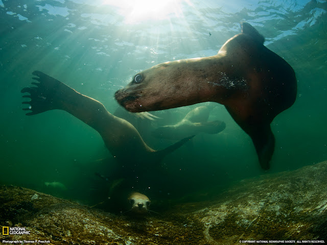 National Geographic Photo of the Day