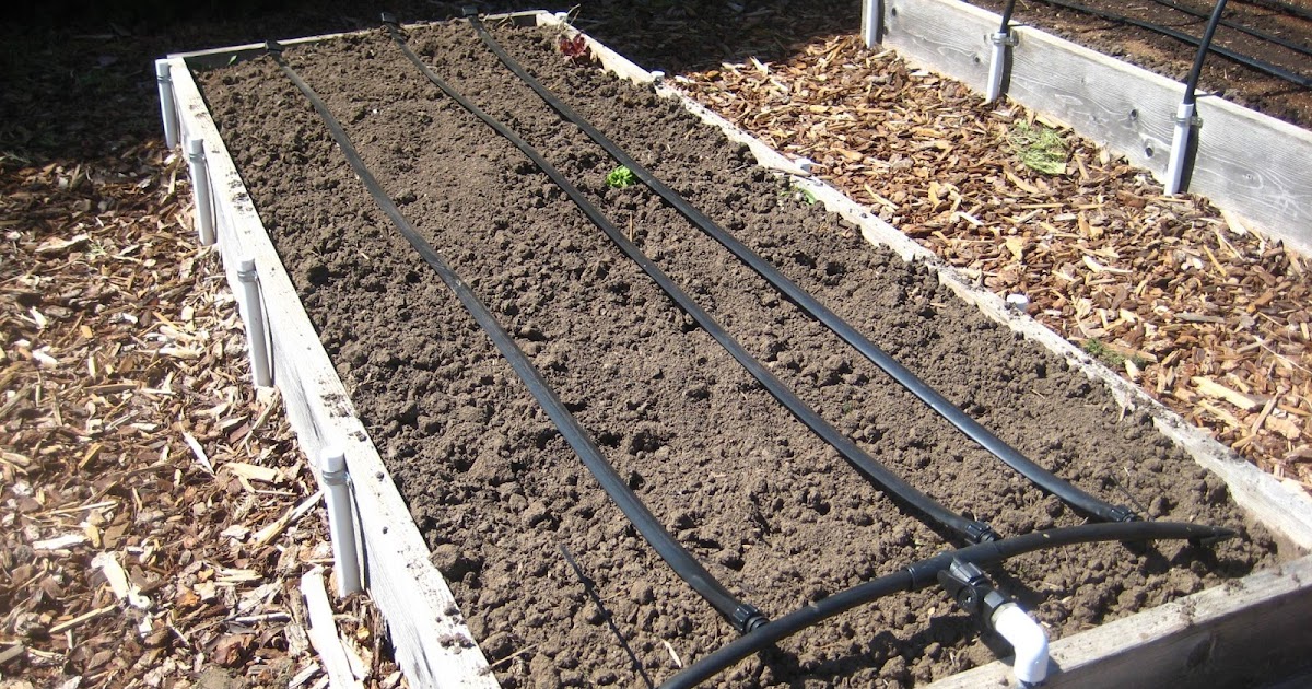 Susan's In the Garden New drip irrigation system
