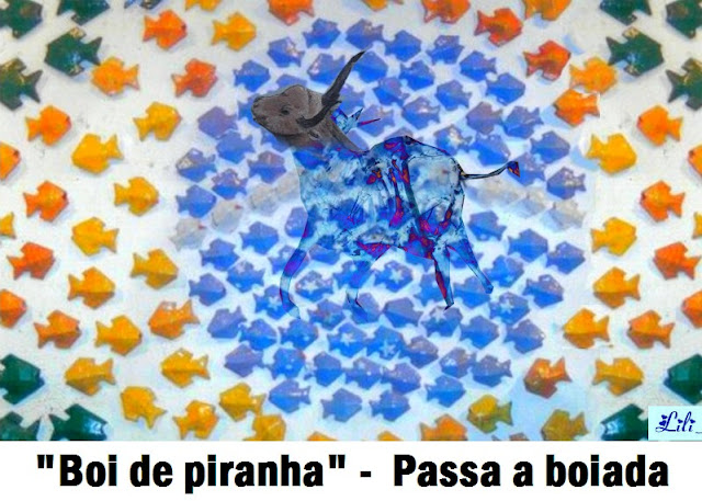 http://4.bp.blogspot.com/-wWqmLw4F3yY/UAo3eIuOM0I/AAAAAAAALQg/O9ykaXxql8U/s400/BOI+DE+PIRANHA.jpg