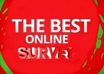 The Best Online Survey