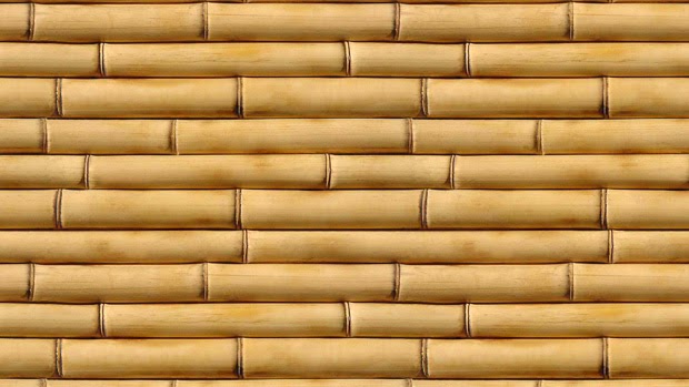 Bamboo Bamboo