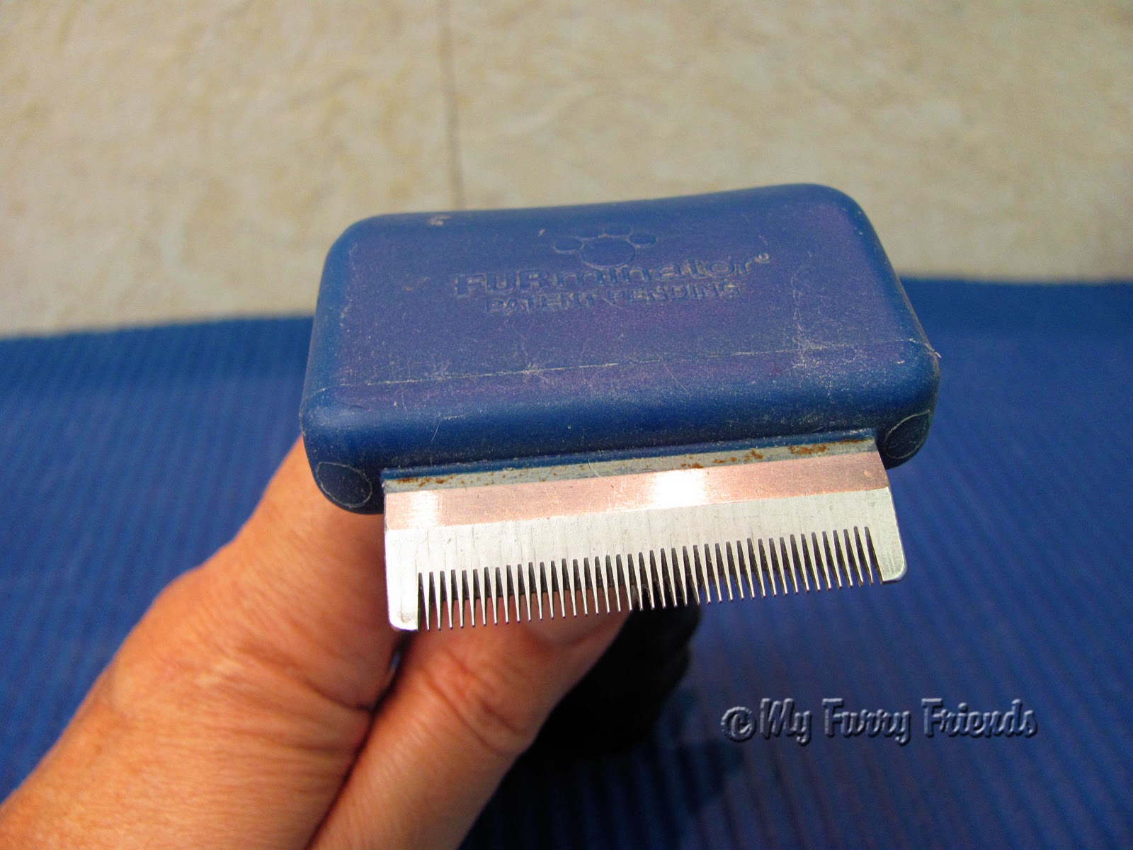Pet Grooming The Good The Bad The Furry Tuesday S Tip 32