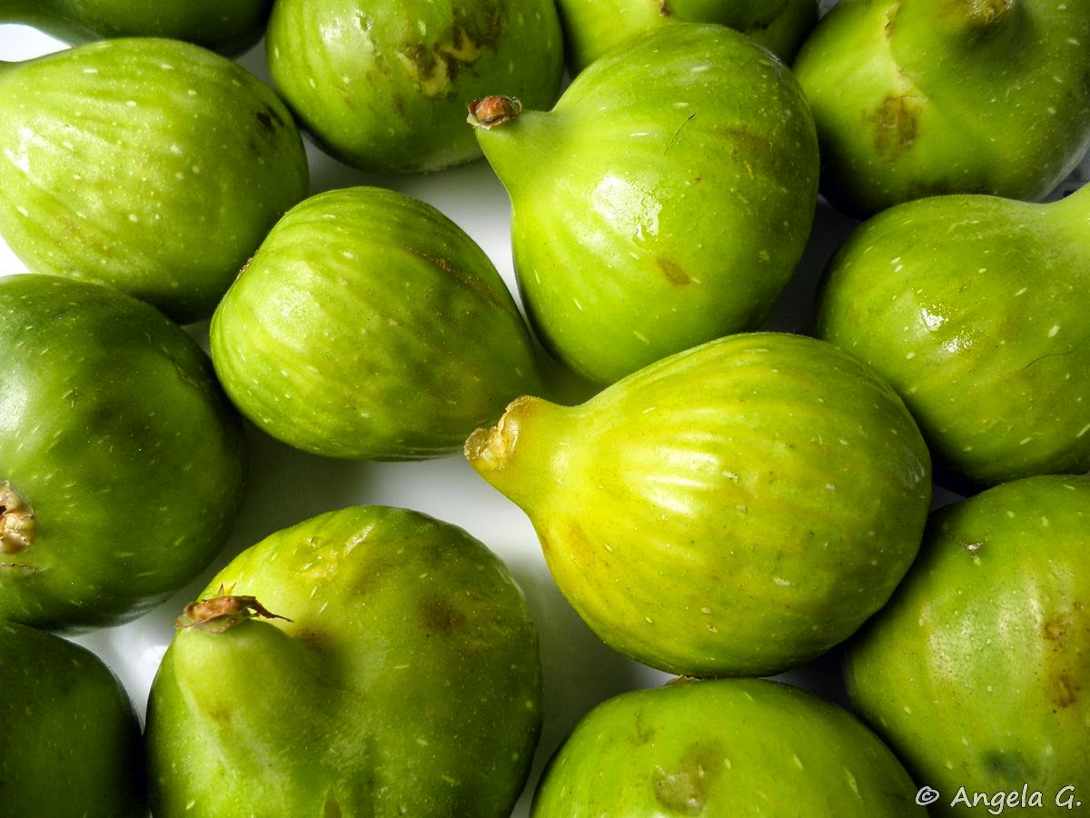 [productosDeLaTierra_10]