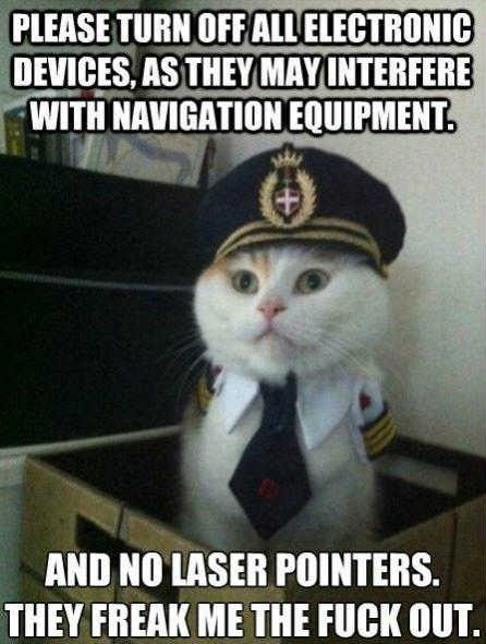 Laser Lolcat