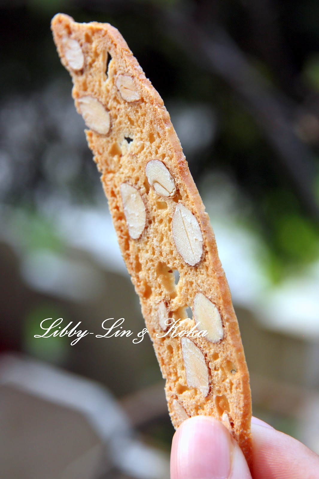 LibbyLin & Koka A Tiny Shop that Sells Great Biscotti )