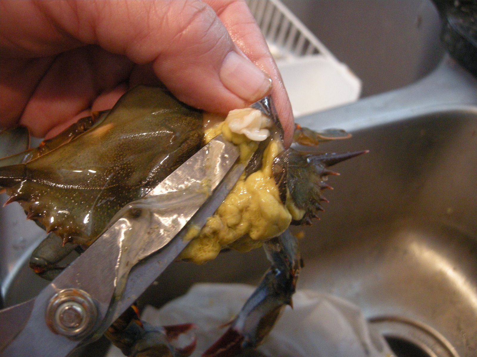 what is the yellow stuff in crabs