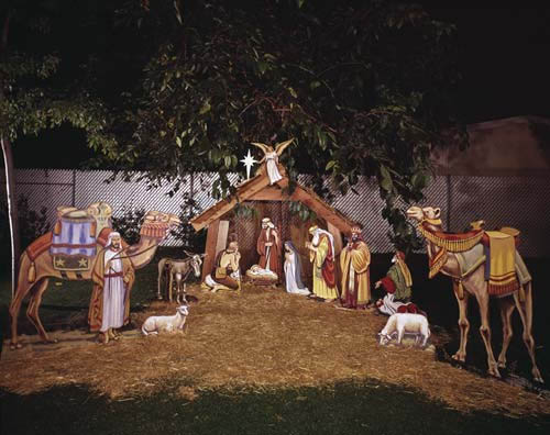 Why the Nativity?: 25 Compelling Reasons We Celebrate the Birth of Jesus Why the Nativity?: 25 Compelling Reasons We Celebrate the Birth of Jesus