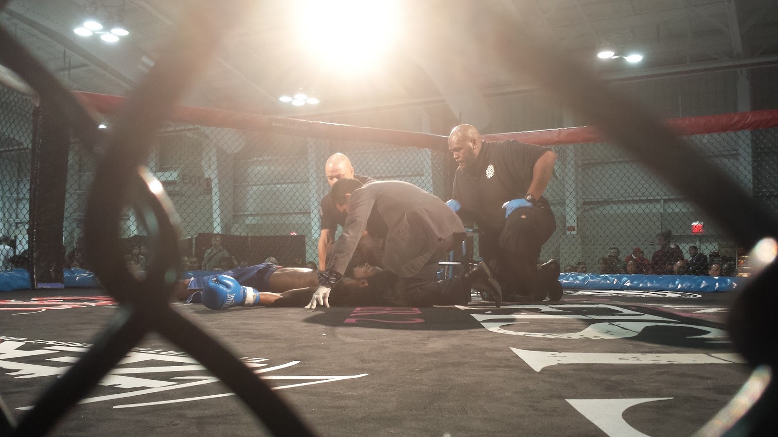 The MMA Journalist New York Fight Exchange Livens Up the MMA World Expo