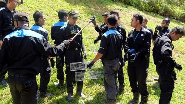 'Search and destroy mission' to root out rat colony near Bukit Batok MRT station