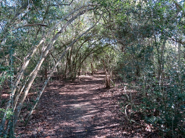 Martyn Trail Martyn Trail at Armand Bayou Nature Center.