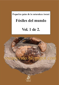 Pequeñas guías de la Naturaleza. asensi: Fósiles del mundo. Próximamente.