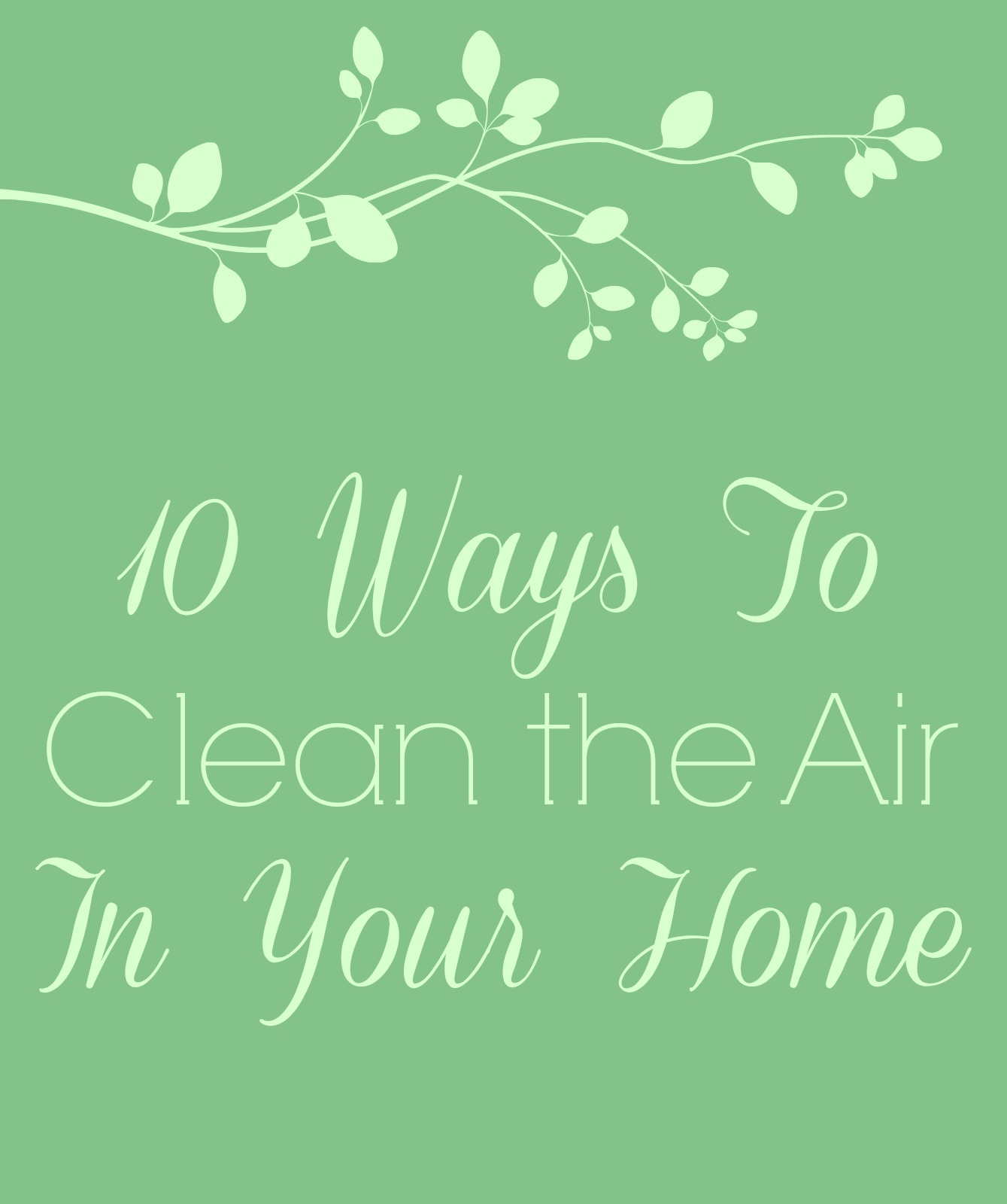 10 Ways to Clean the Air in Your Home The Pistachio Project