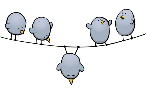 birds on a line