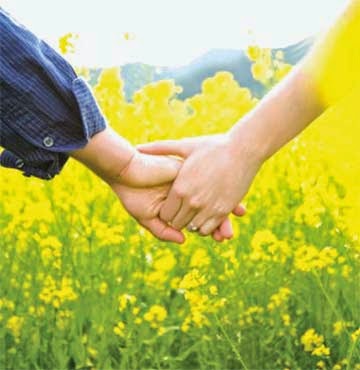 Hình ảnh tình yêu đẹp & hạnh phúc của đôi tình nhân Ảnh nắm tay nhau đi trên đồng cỏ hạnh phúc