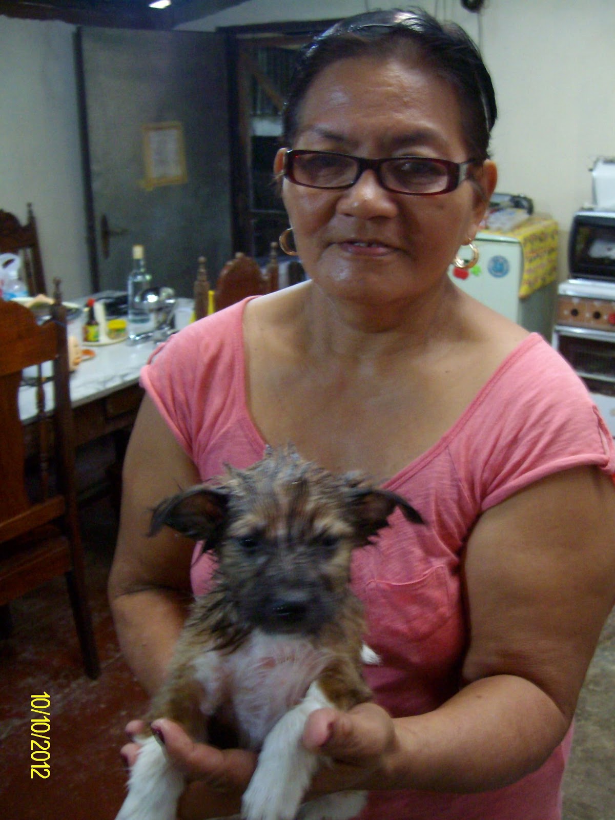 Doggy unser Hund Impressions of Davao