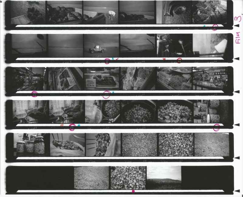 FH3T04 Major Photography Project 13. Contact Sheets (Film)