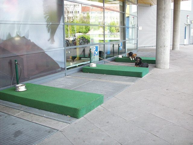 Ikea tem estacionamento para cachorros