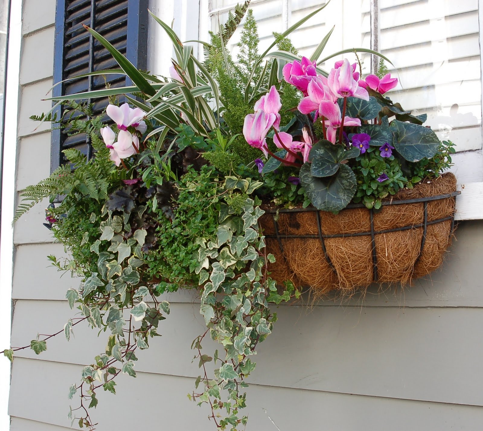 A Heart's Desire Charleston Gardens