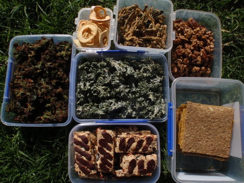 Raw Harmony Raw Kale chips, hummus dips and snacks for trips