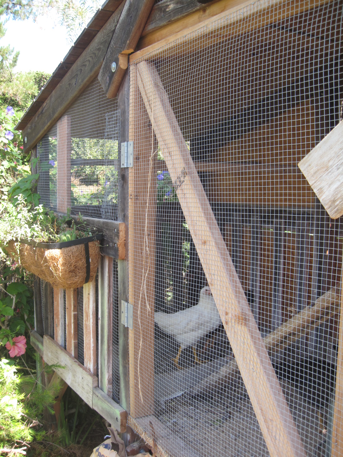 French Knots The "Chic"iest Chicken Coop