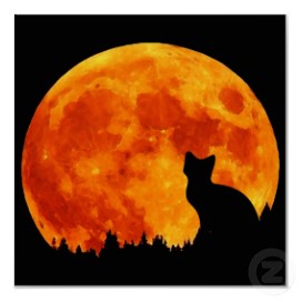 Des couleurs de la lune Chat+lune+orange