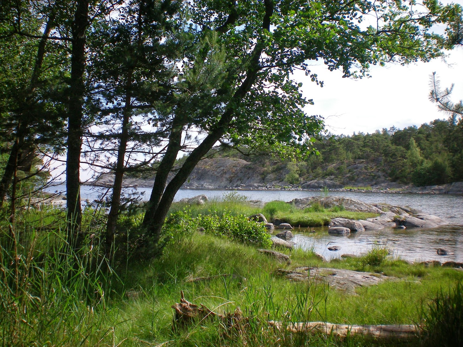 Välkommen till min skärgårdsluffblogg!: juni 2014