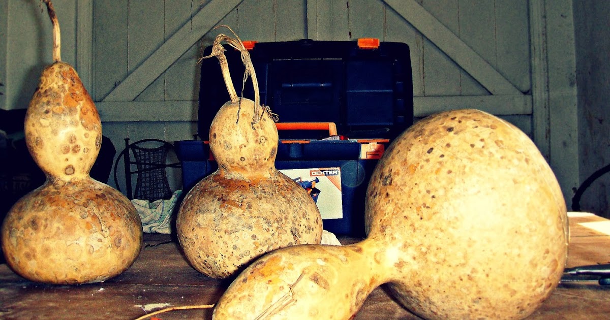 Blau, verd, blanc: Otro DIY - Lámparas hechas con calabaza