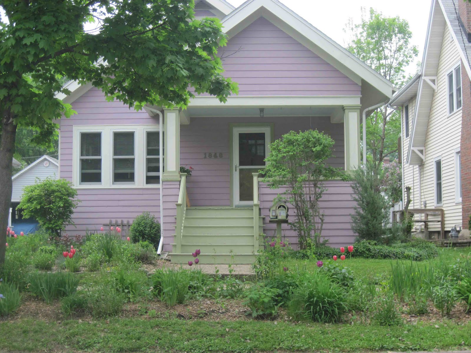 Pleasant Living MADISON'S PURPLE CULT