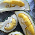 Pulut Durian Untuk Nellisa